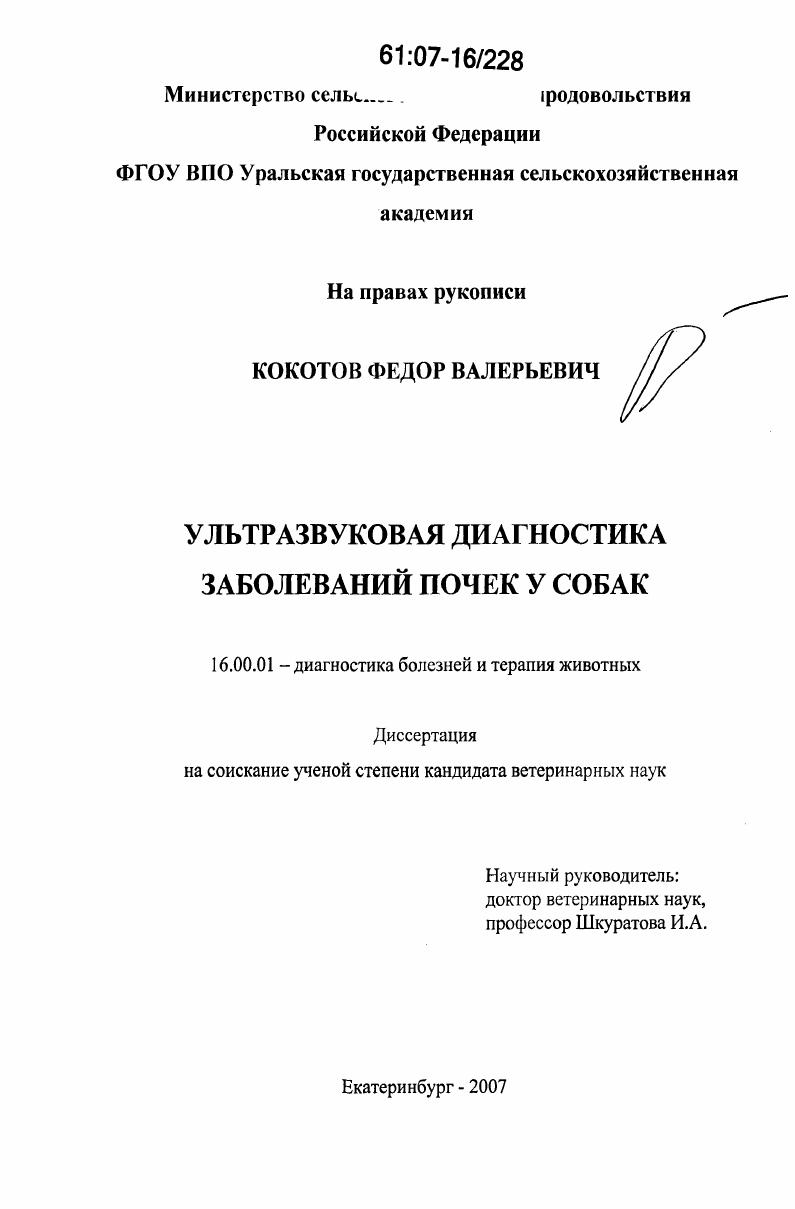 Ультразвуковая диагностика заболеваний почек у собак
