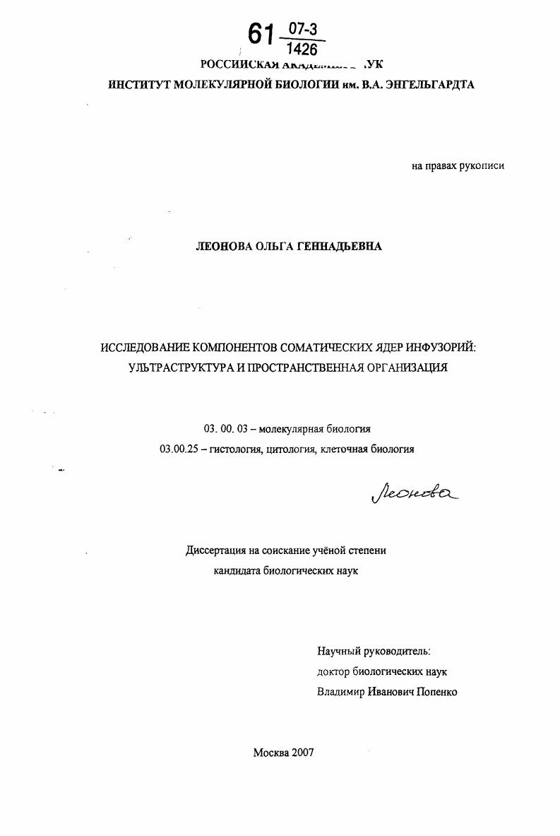Исследование компонентов соматических ядер инфузорий: ультраструктура и пространственная организация