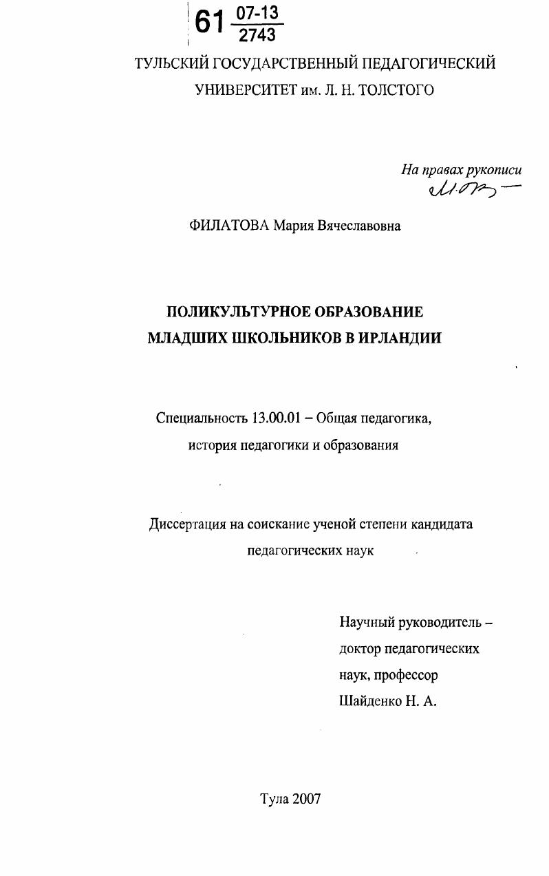 скачать диссертацию Поликультурное образование младших школьников в Ирландии Поликультурное образование младших школьников в Ирландии