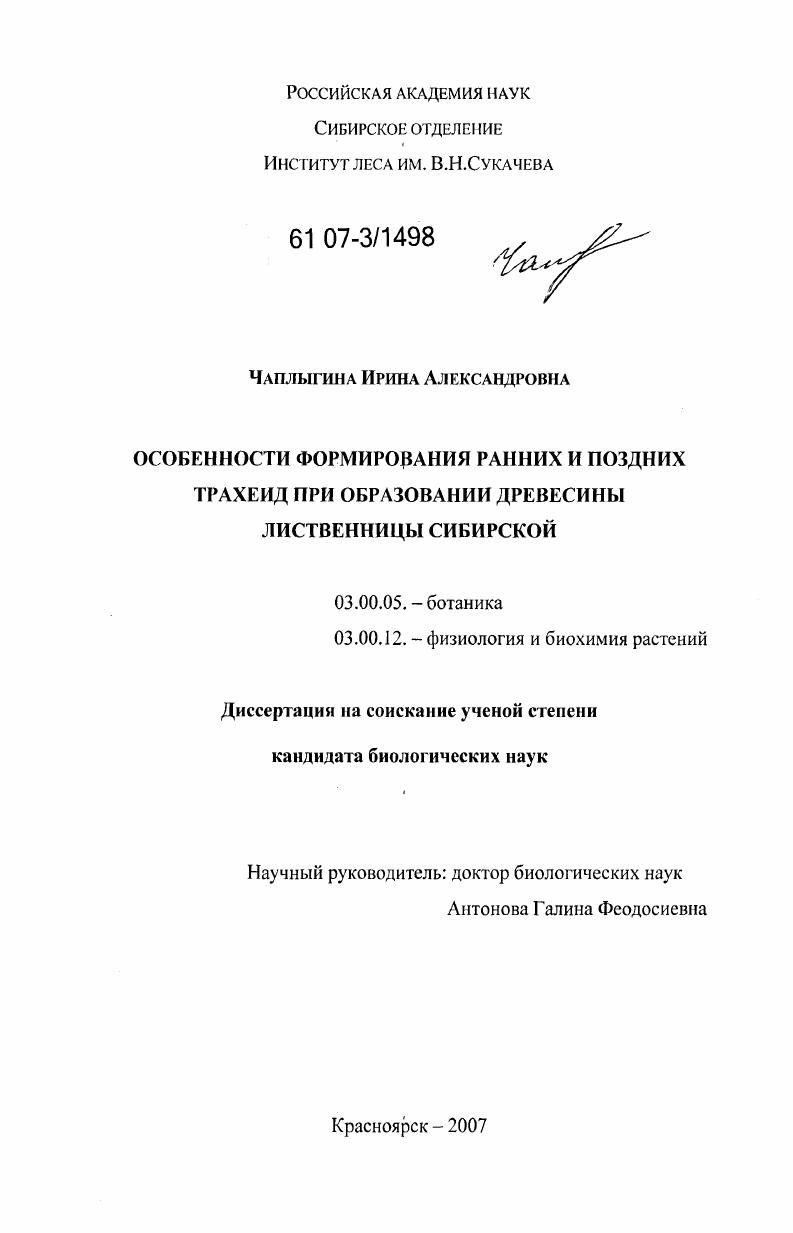 Особенности формирования ранних и поздних трахеид при образовании древесины лиственницы сибирской