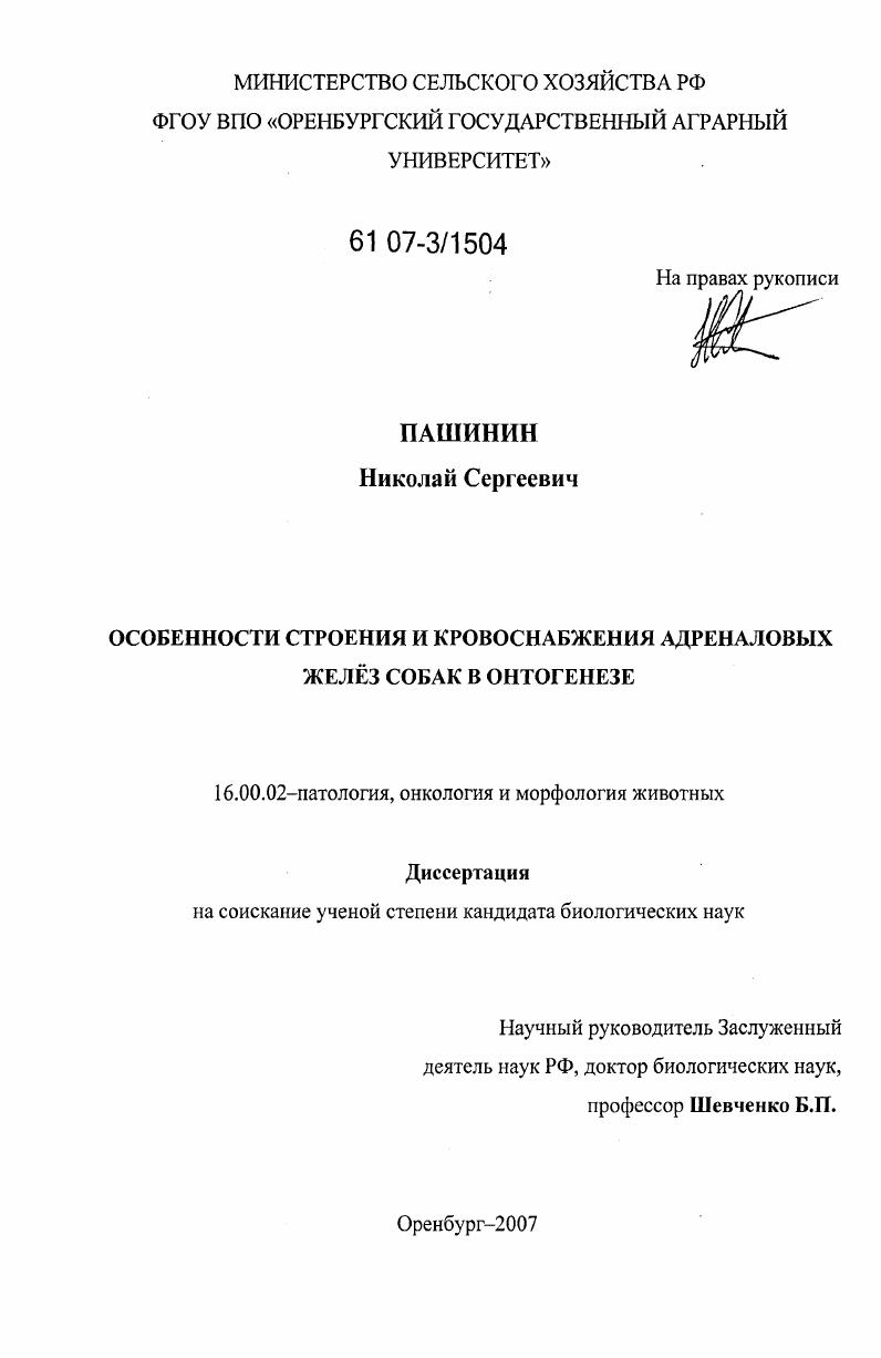 скачать диссертацию Особенности строения и кровоснабжения адреналовых желез собак в онтогенезе Особенности строения и кровоснабжения адреналовых желез собак в онтогенезе