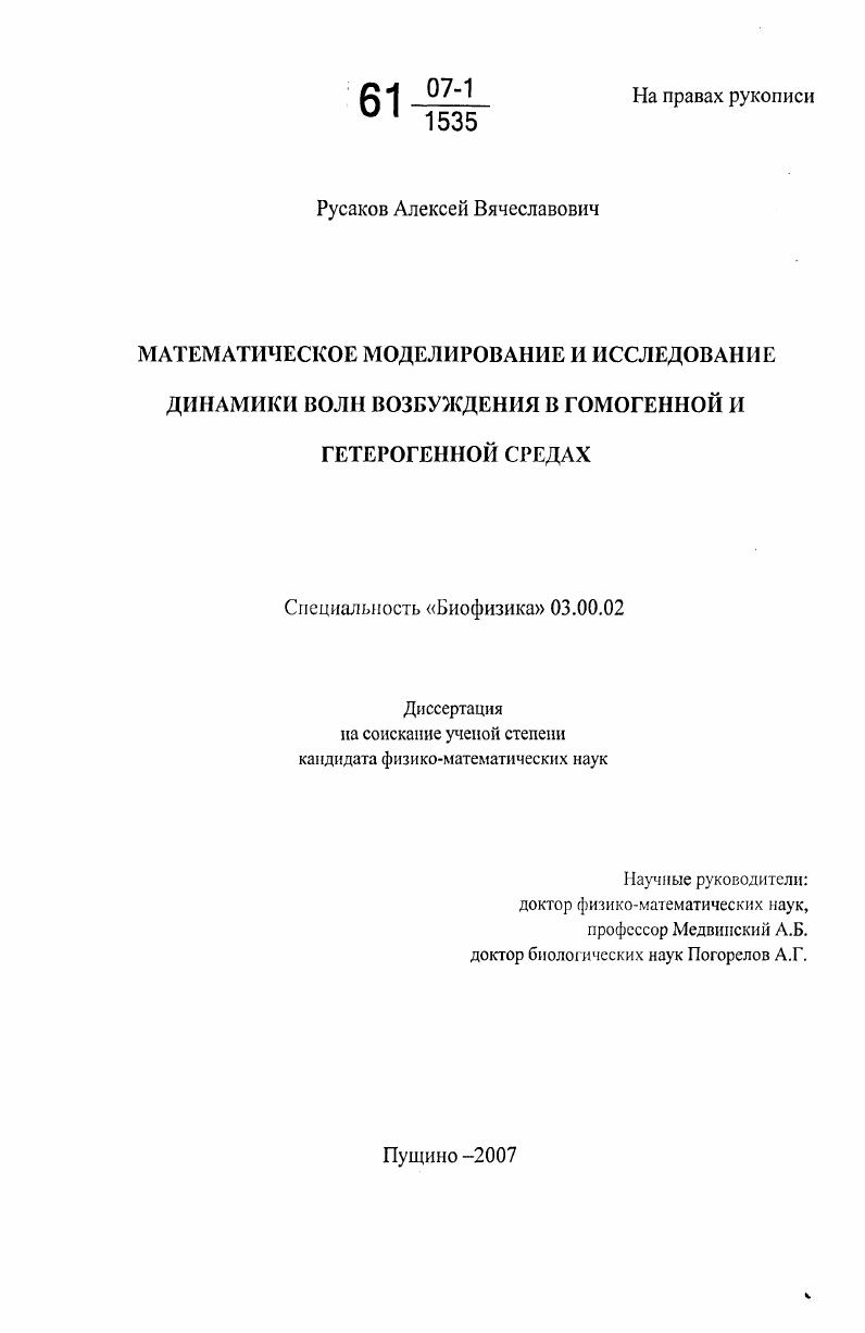 Математическое моделирование и исследование динамики волн возбуждения в гомогенной и гетерогенной средах