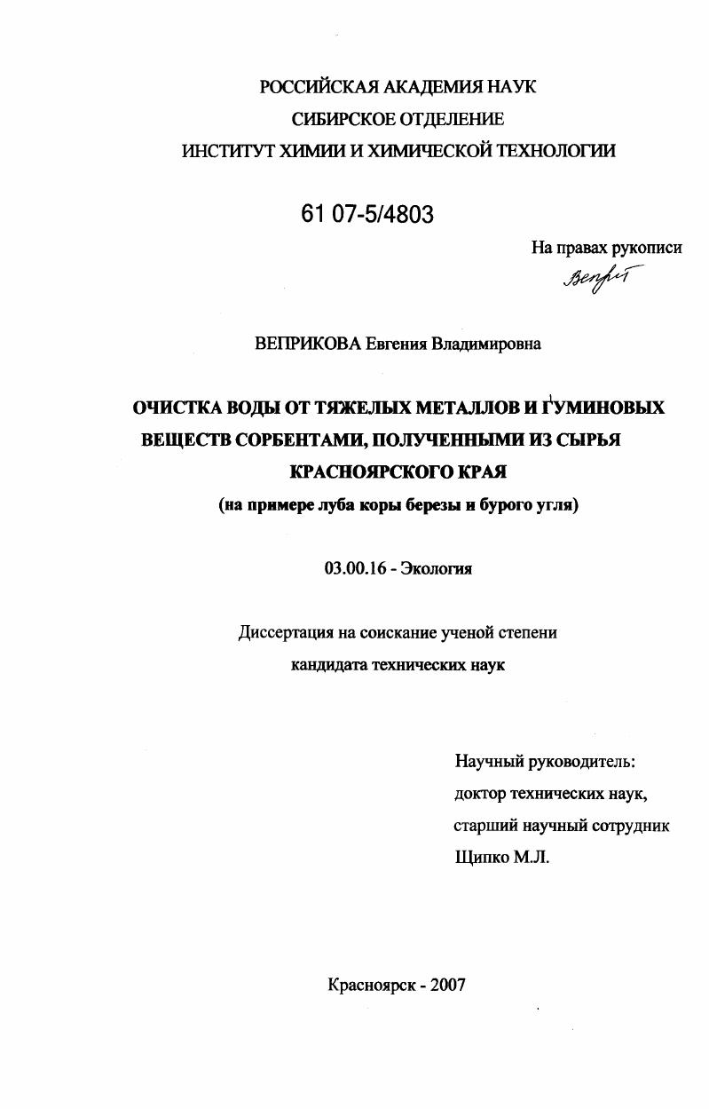 Очистка воды от тяжелых металлов и гуминовых веществ сорбентами, полученными из сырья Красноярского края : на примере луба коры березы и бурого угля