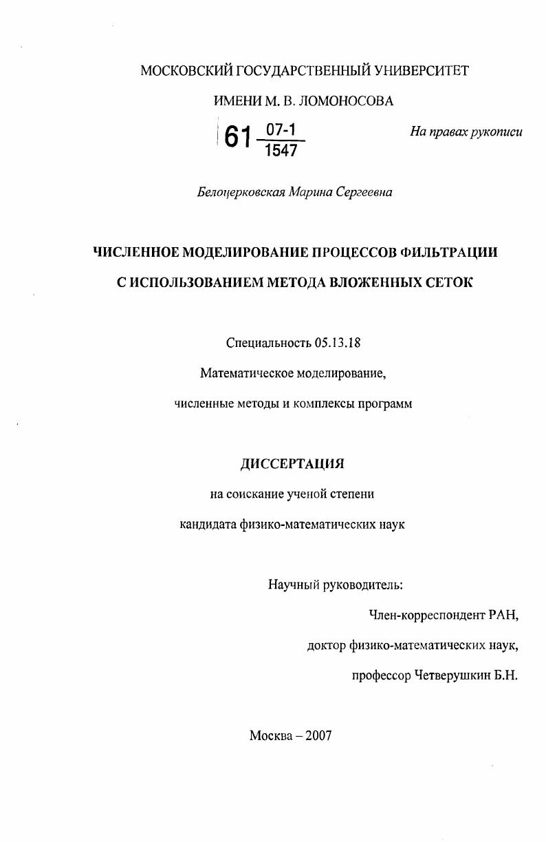 Численное моделирование процессов фильтрации с использованием метода вложенных сеток