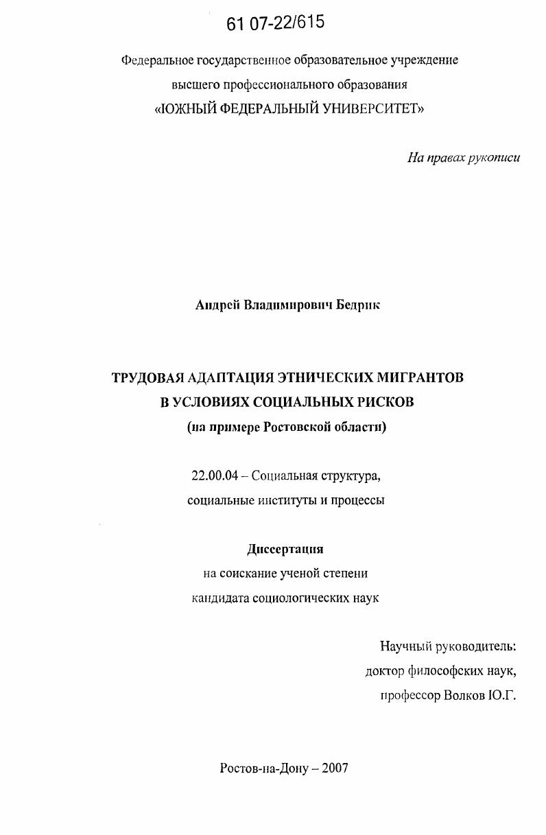 Трудовая адаптация этнических мигрантов в условиях социальных рисков : на примере Ростовской области