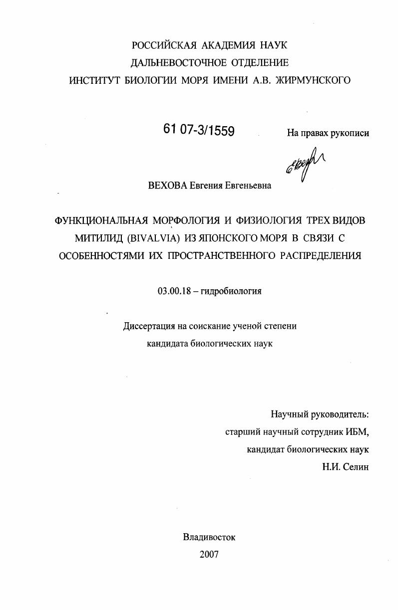 Функциональная морфология и физиология трех видов митилид (Bivalvia) из Японского моря в связи с особенностями их пространственного распределения
