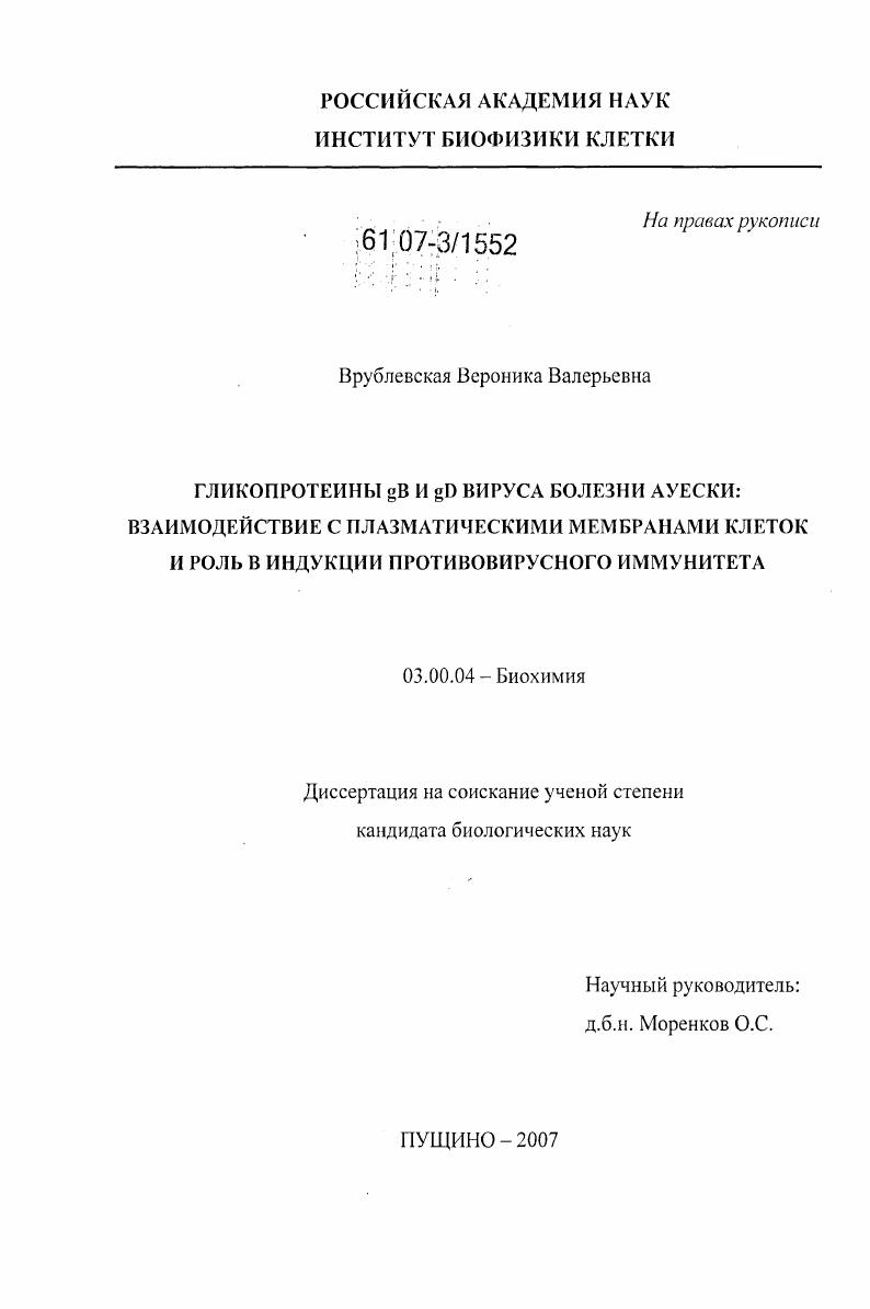 Гликопротеины gB и gD вируса болезни Ауески: взаимодействие с плазматическими мембранами клеток и роль в индукции противовирусного иммунитета