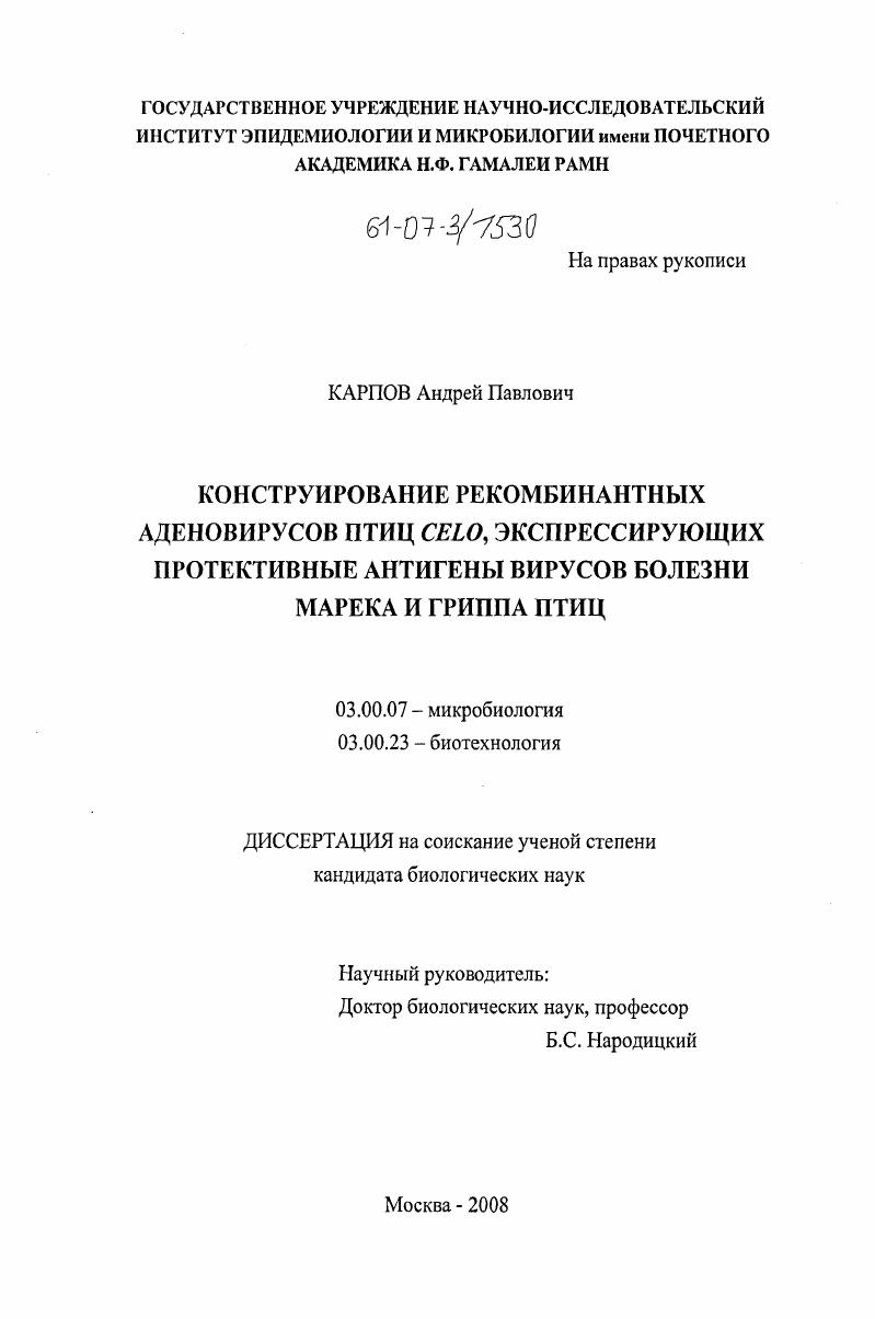 скачать диссертацию Конструирование рекомбинантных аденовирусов птиц CELO, экспрессирующих протективные антигены вирусов болезни Марека и гриппа птиц Конструирование рекомбинантных аденовирусов птиц CELO, экспрессирующих протективные антигены вирусов болезни Марека и гриппа птиц