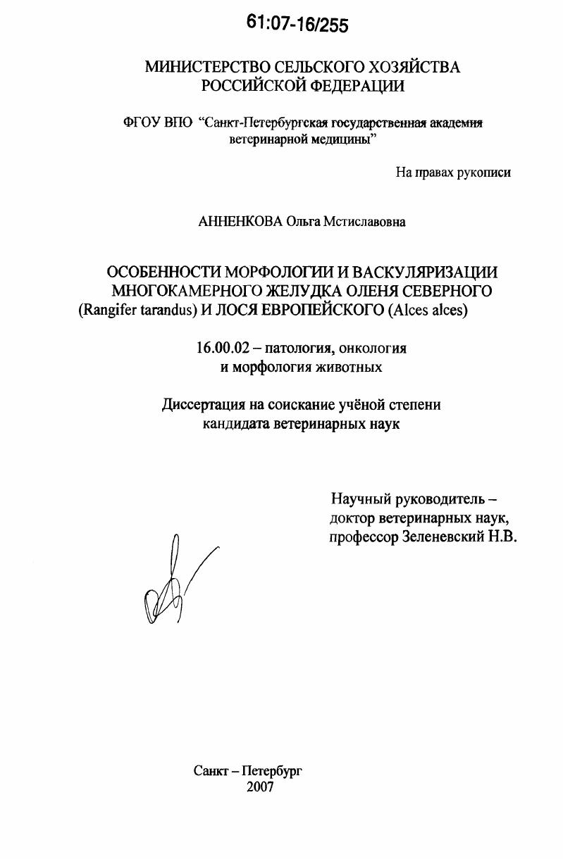 Особенности морфологии и васкуляризации многокамерного желудка оленя северного (Rangifer tarandus) и лося европейского (Alces alces)