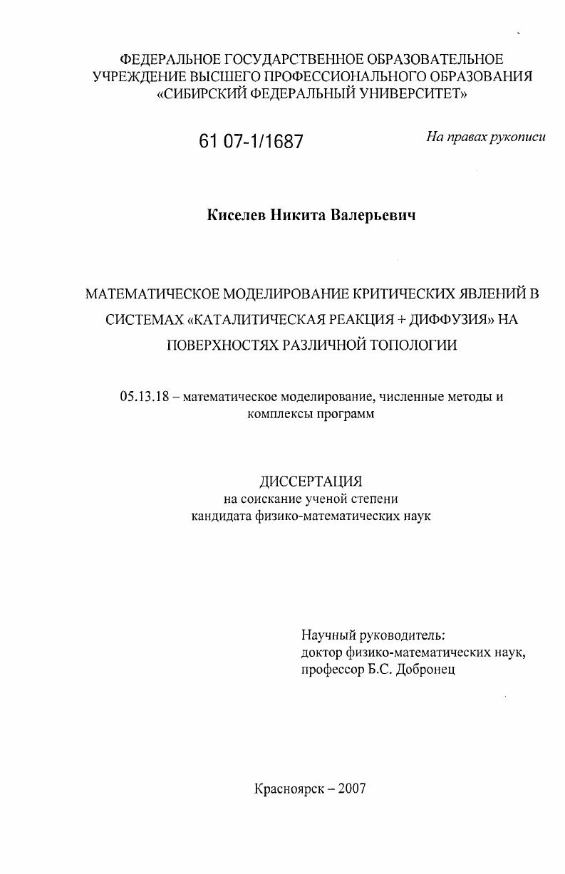 Математическое моделирование критических явлений в системах "каталитическая реакция + диффузия" на поверхностях различной топологии