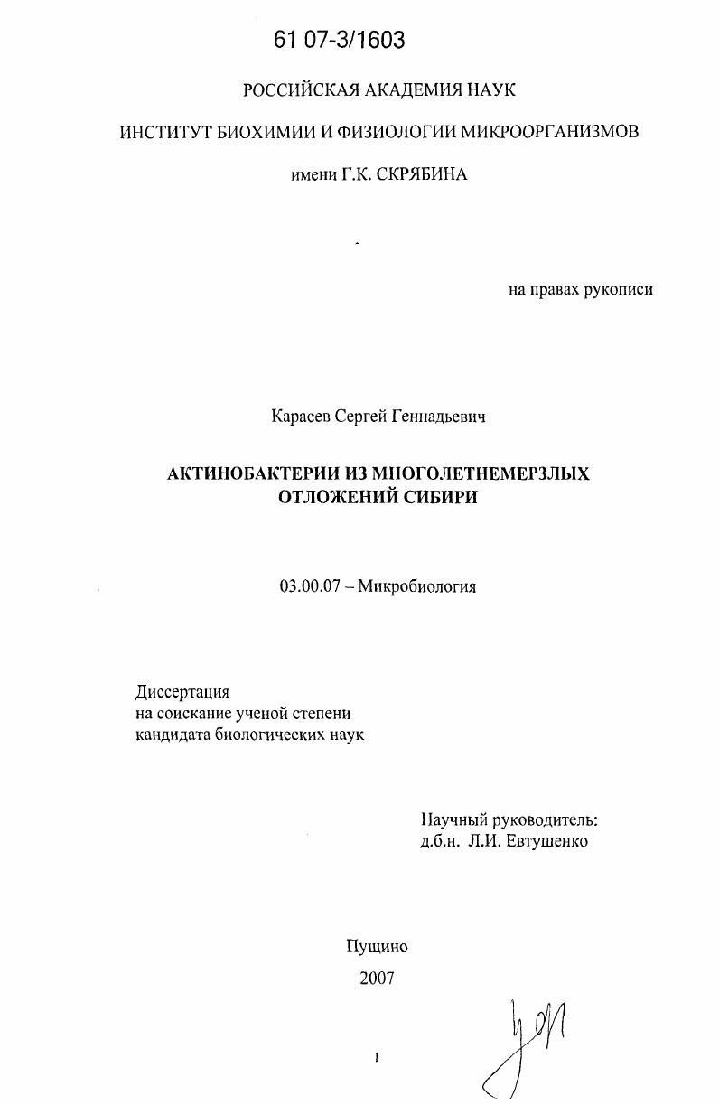 Актинобактерии из многолетнемерзлых отложений Сибири