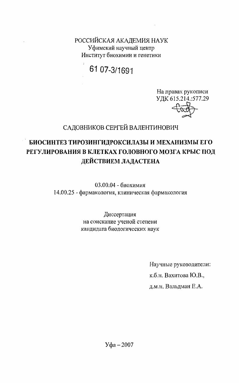 скачать диссертацию Биосинтез тирозингидроксилазы и механизмы его регулирования в клетках головного мозга крыс под действием ладастена Биосинтез тирозингидроксилазы и механизмы его регулирования в клетках головного мозга крыс под действием ладастена