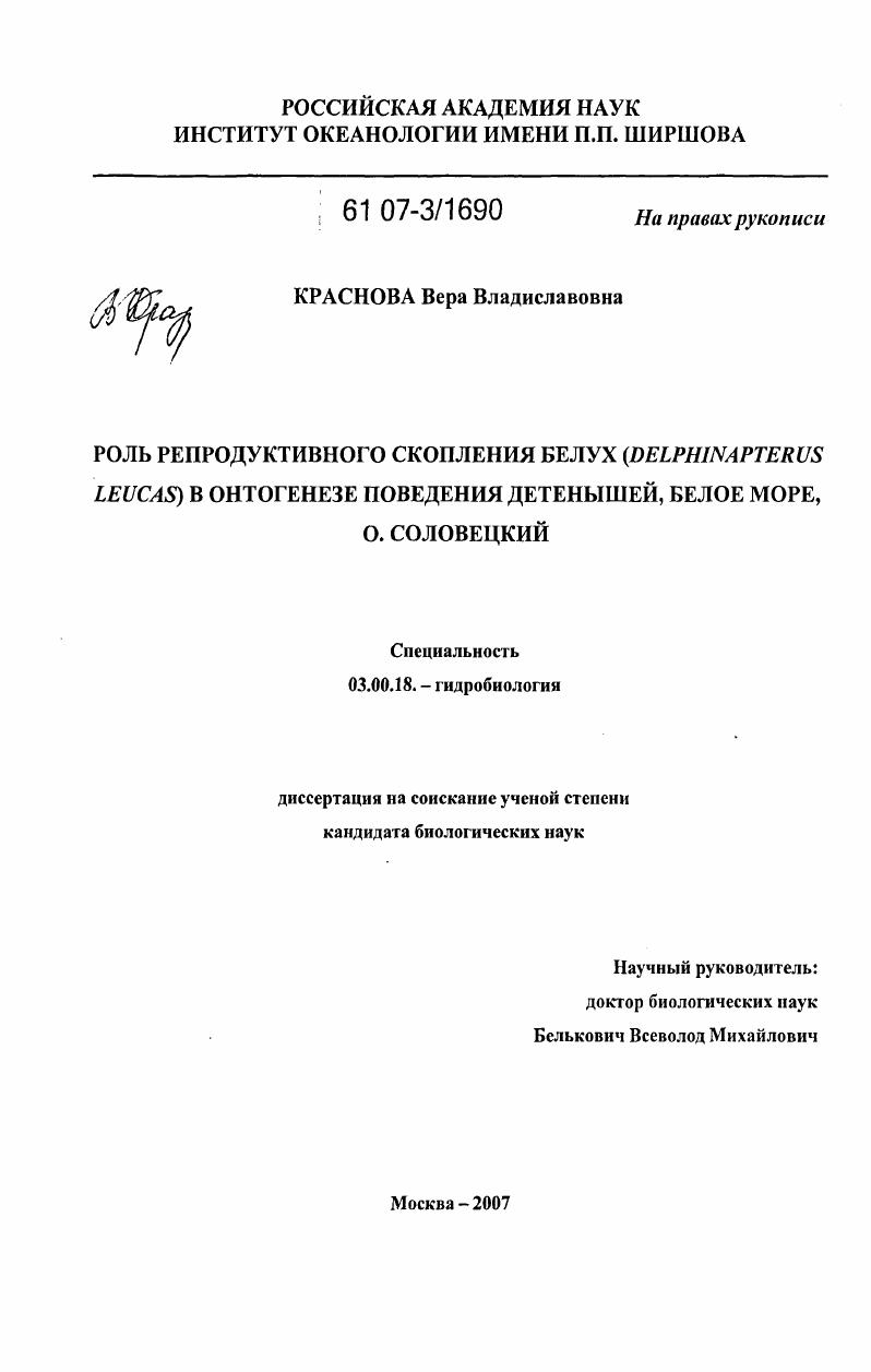 Роль репродуктивного скопления белух (Delphinapterus leucas) в онтогенезе поведения детенышей, Белое море, о. Соловецкий