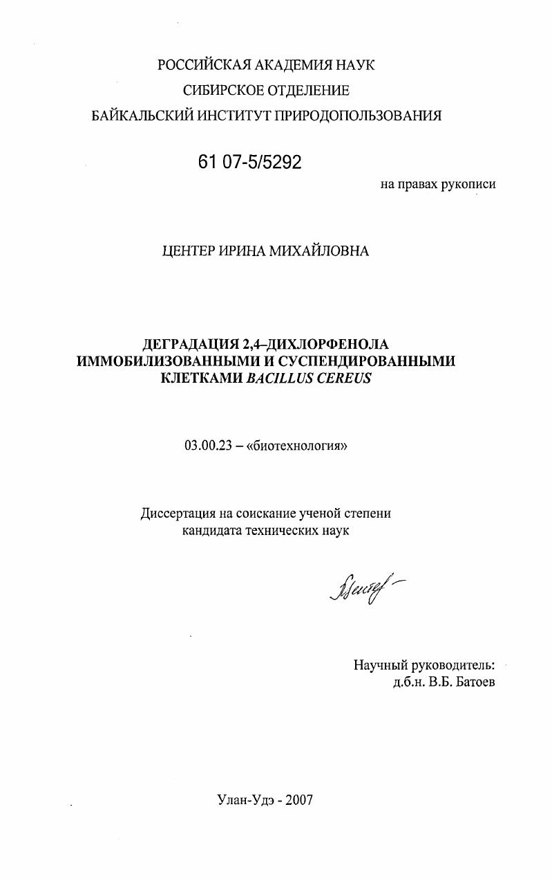 Деградация 2,4-дихлорфенола иммобилизованными и суспендированными клетками Bacillus cereus