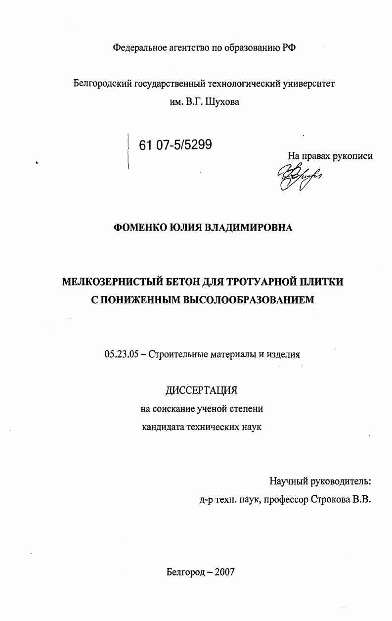 Мелкозернистый бетон для тротуарной плитки с пониженным высолообразованием