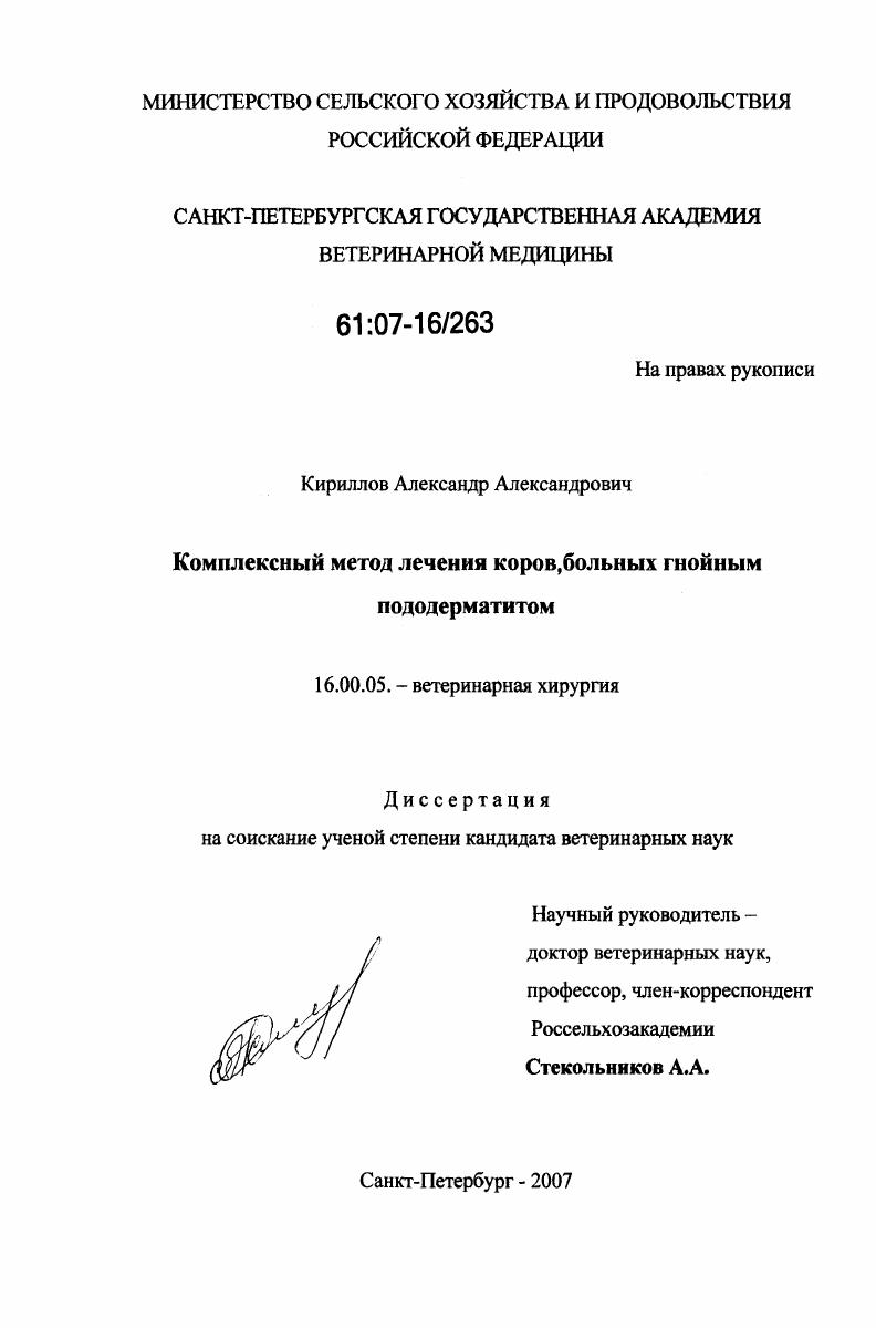 Комплексный метод лечения коров, больных гнойным пододерматитом