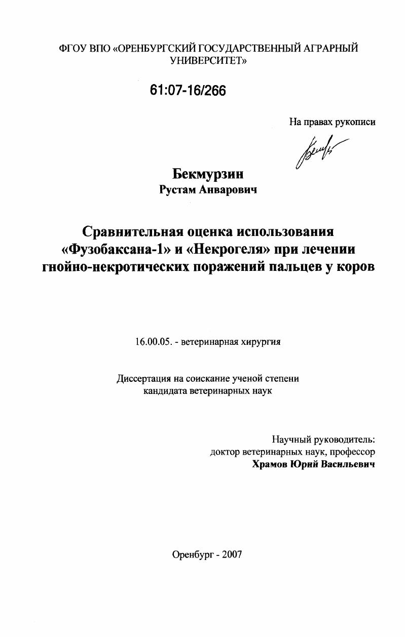 Сравнительная оценка использования "Фузобаксана-1" и "Некрогеля" при лечении гнойно-некротических поражений пальцев у коров