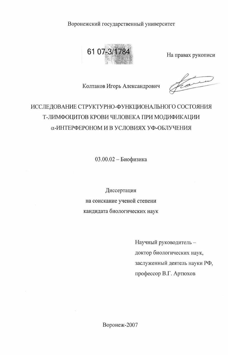 Исследование структурно-функционального состояния Т-лимфоцитов крови человека при модификации α-интерфероном и в условиях УФ-облучения
