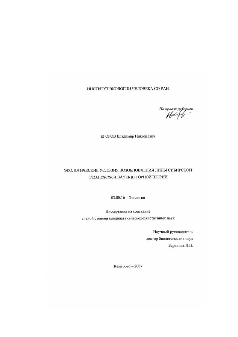 Экологические условия возобновления липы сибирской (Tilia sibirica Bayer) в Горной Шории