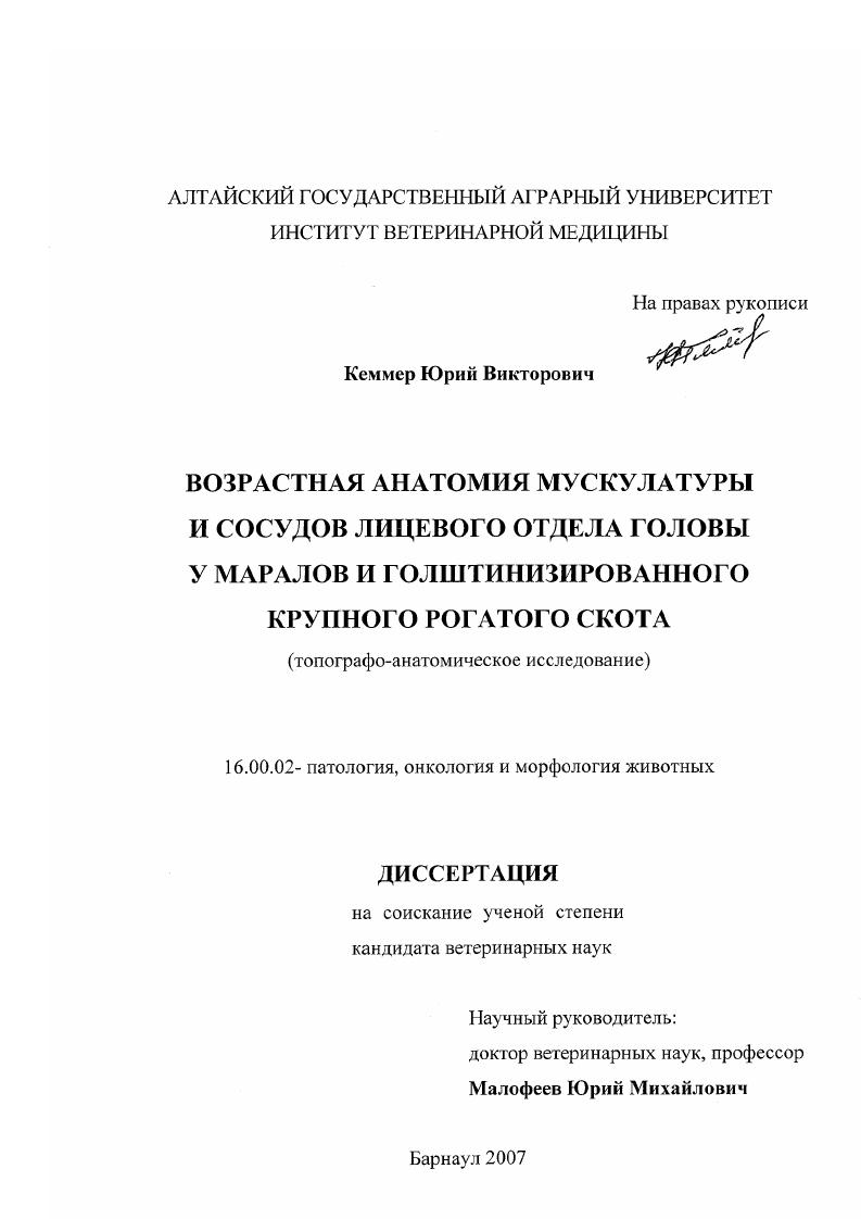 Возрастная анатомия мускулатуры и сосудов лицевого отдела головы у маралов и голштинизированного крупного рогатого скота : топографо-анатомическое исследование