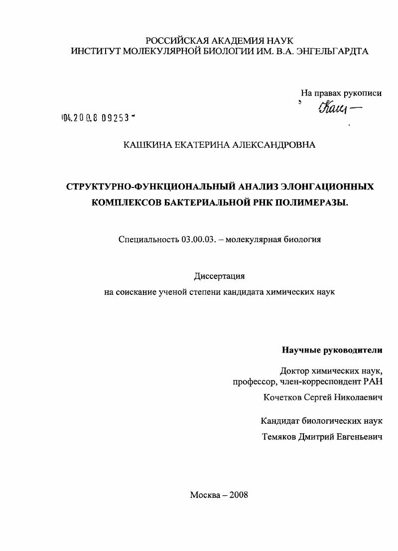 Структурно-функциональный анализ элонгационных комплексов бактериальной РНК полимеразы