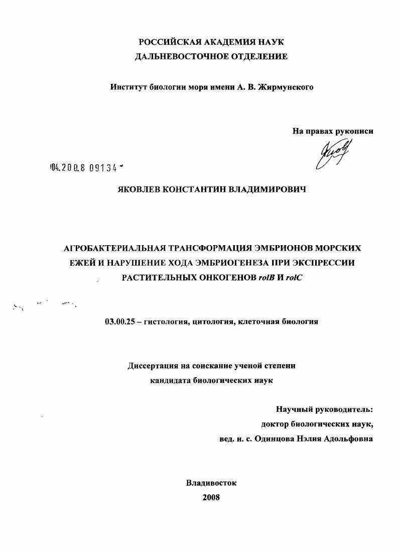 Агробактериальная трансформация эмбрионов морских ежей и нарушение хода эмбриогенеза при экспрессии растительных онкогенов rolB и rolC