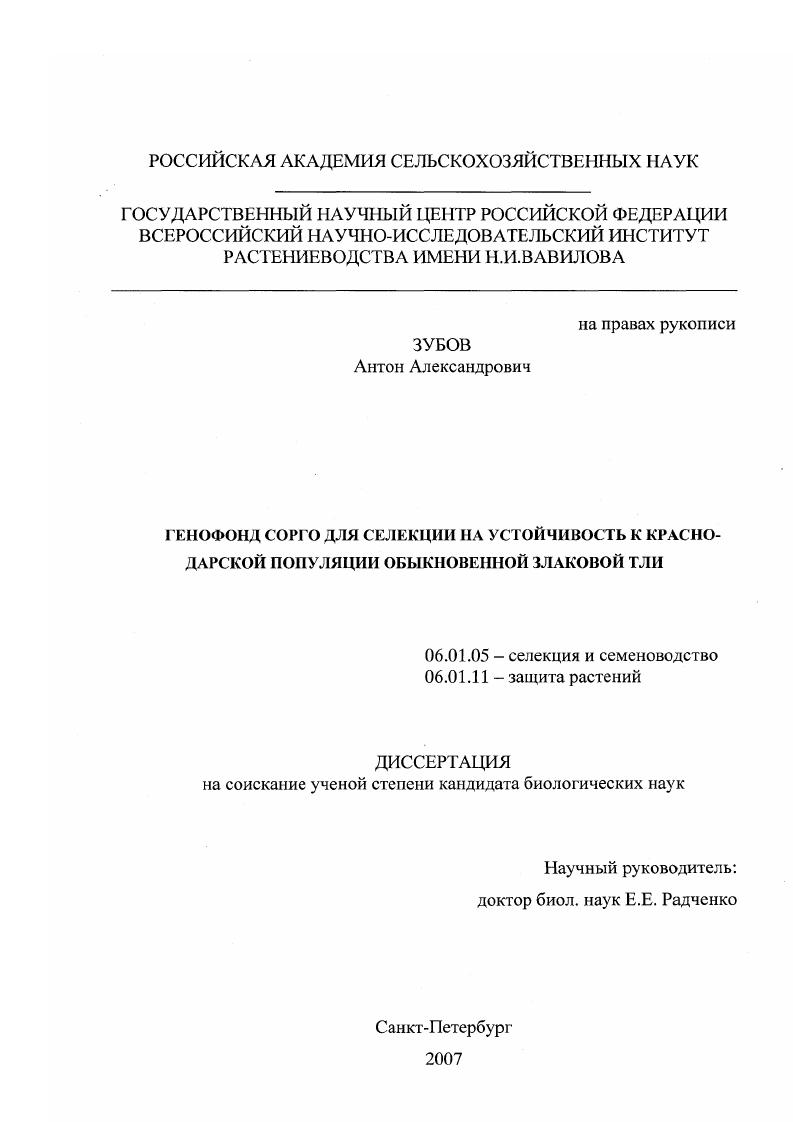 Генофонд сорго для селекции на устойчивость к краснодарской популяции обыкновенной злаковой тли