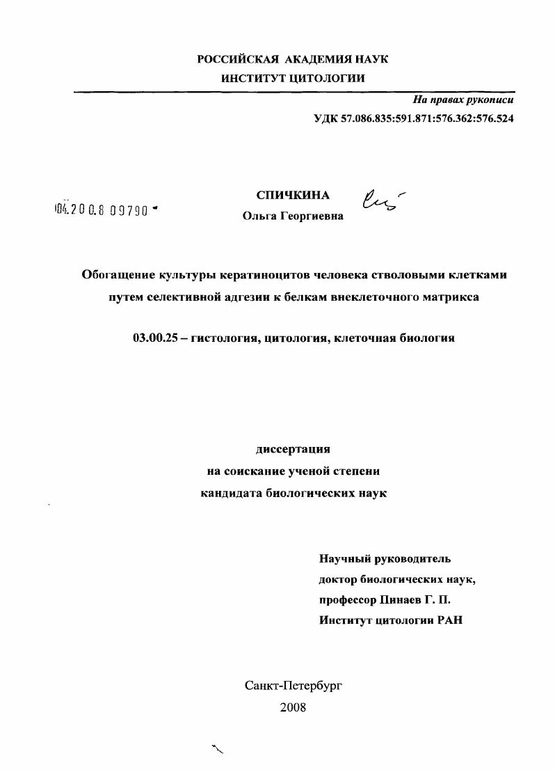 Обогащение культуры кератиноцитов человека стволовыми клетками путем селективной адгезии к белкам внеклеточного матрикса