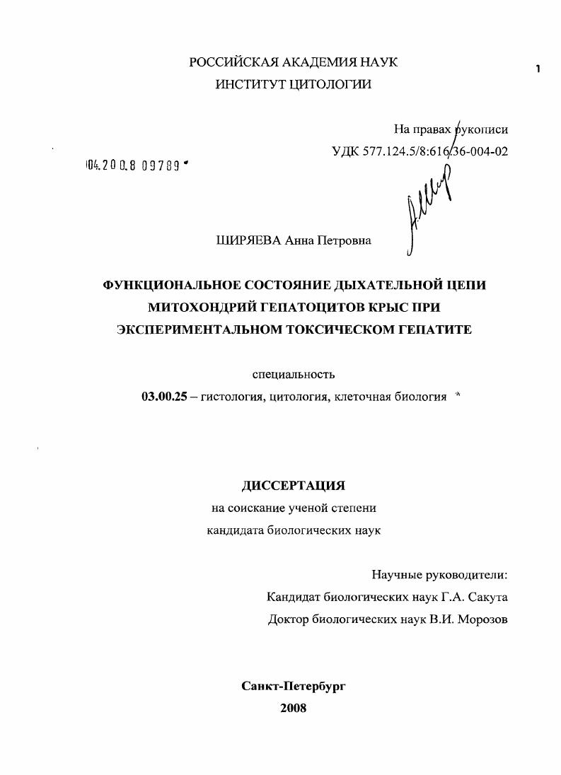 Функциональное состояние дыхательной цепи митохондрий гепатоцитов крыс при экспериментальном токсическом гепатите