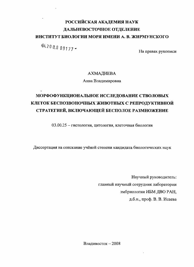 Морфофункциональное исследование стволовых клеток беспозвоночных животных с репродуктивной стратегией, включающей бесполое размножение