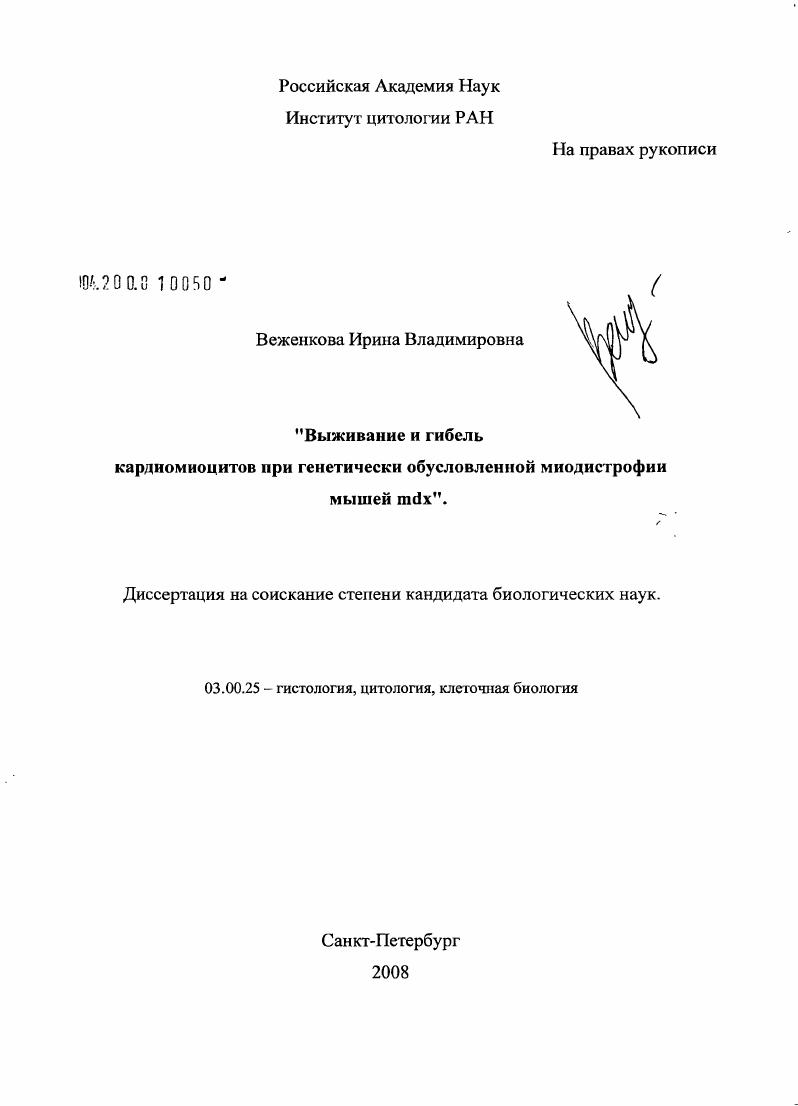 скачать диссертацию Выживание и гибель кардиомиоцитов при генетически обусловленной миодистрофии мышей mdx Выживание и гибель кардиомиоцитов при генетически обусловленной миодистрофии мышей mdx
