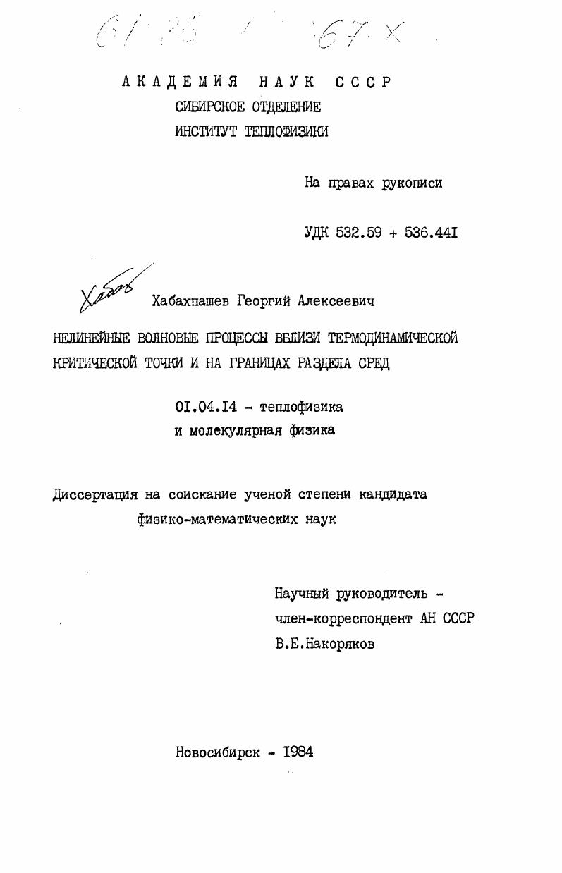 Нелинейные волновые процессы вблизи термодинамической критической точки и на границах раздела сред