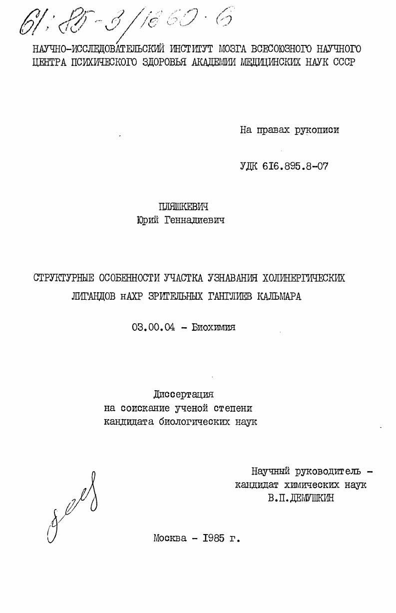 Структурные особенности участка узнавания холинергических лигандов нАХР зрительных ганглиев кальмара
