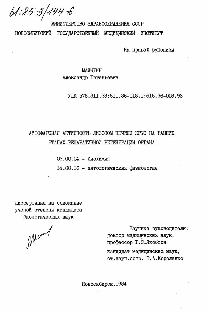 Аутофаговая активность лизосом печени крыс на ранних этапах репаративной регенерации органа