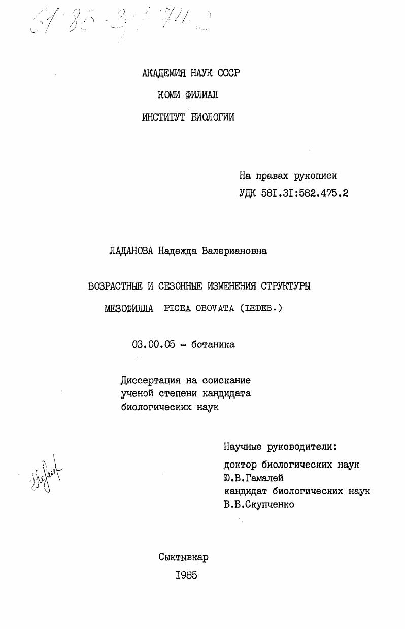Возрастные и сезонные изменения структуры мезофила PICEA OBOVATA (LEDEB.)