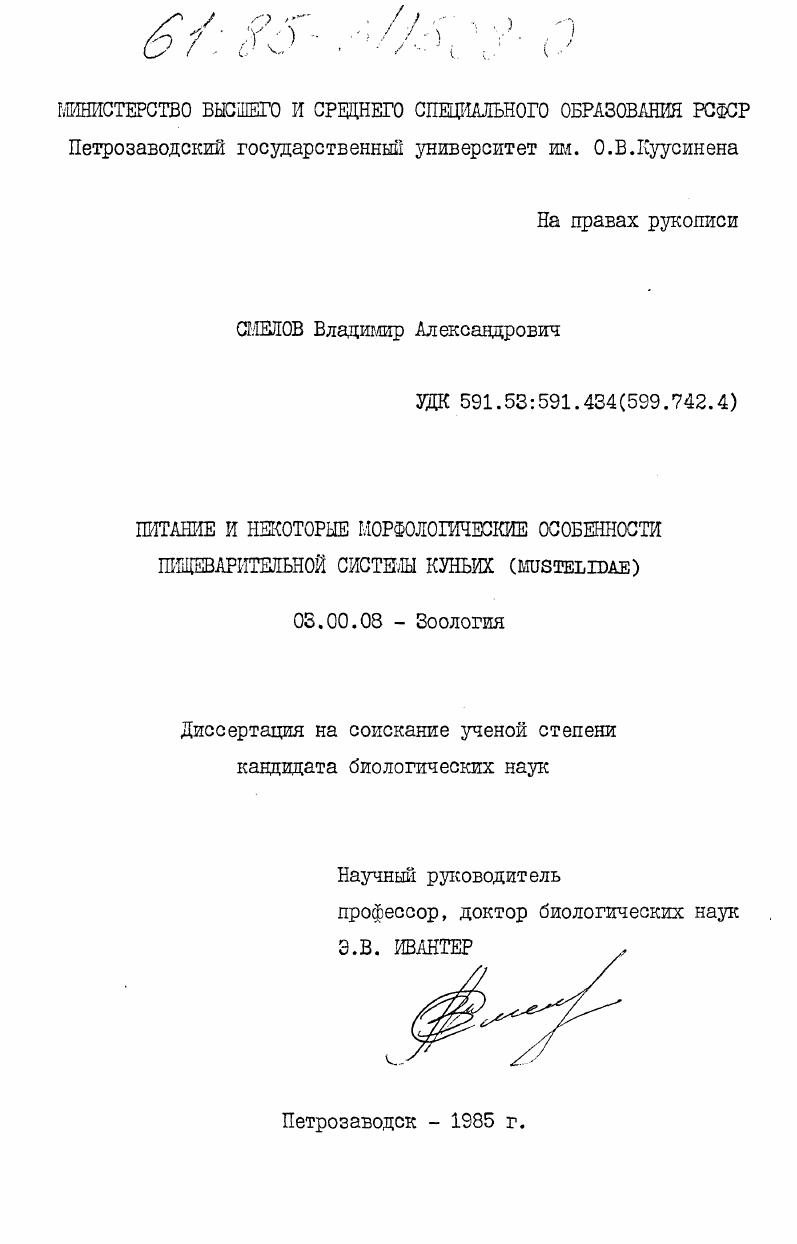 скачать диссертацию Питание и некоторые морфологические особенности пищеварительной системы куньих (Muslidae) Питание и некоторые морфологические особенности пищеварительной системы куньих (Muslidae)