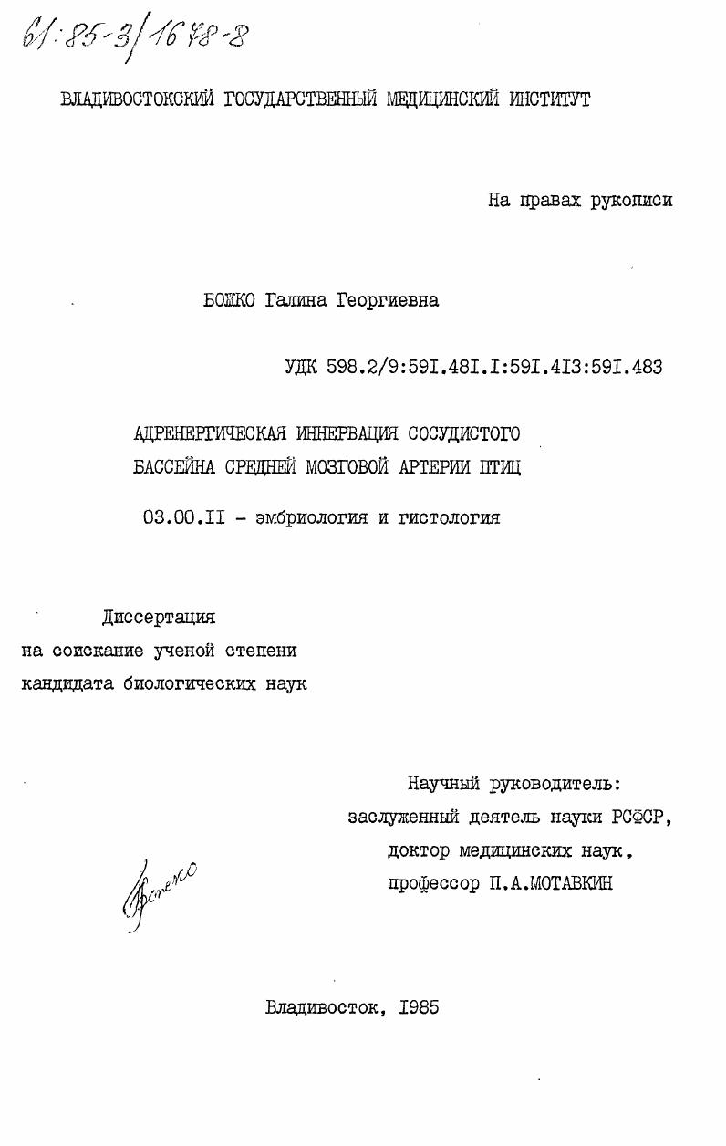 Адренергическая иннервация сосудистого бассейна средней мозговой артерии птиц