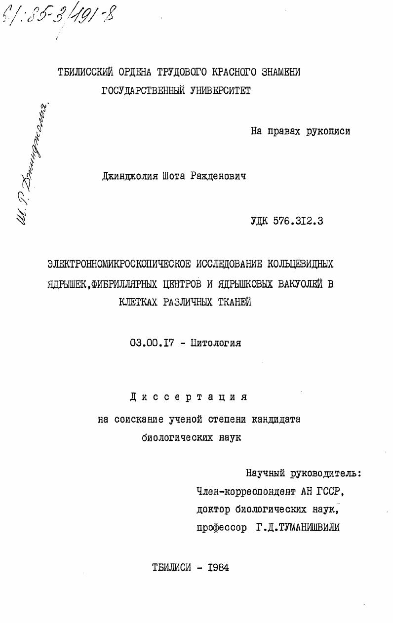 Электронномикроскопическое исследование кольцевидных ядрышек, фибриллярных центров и ядрышковых вакуолей в клетках различных тканей