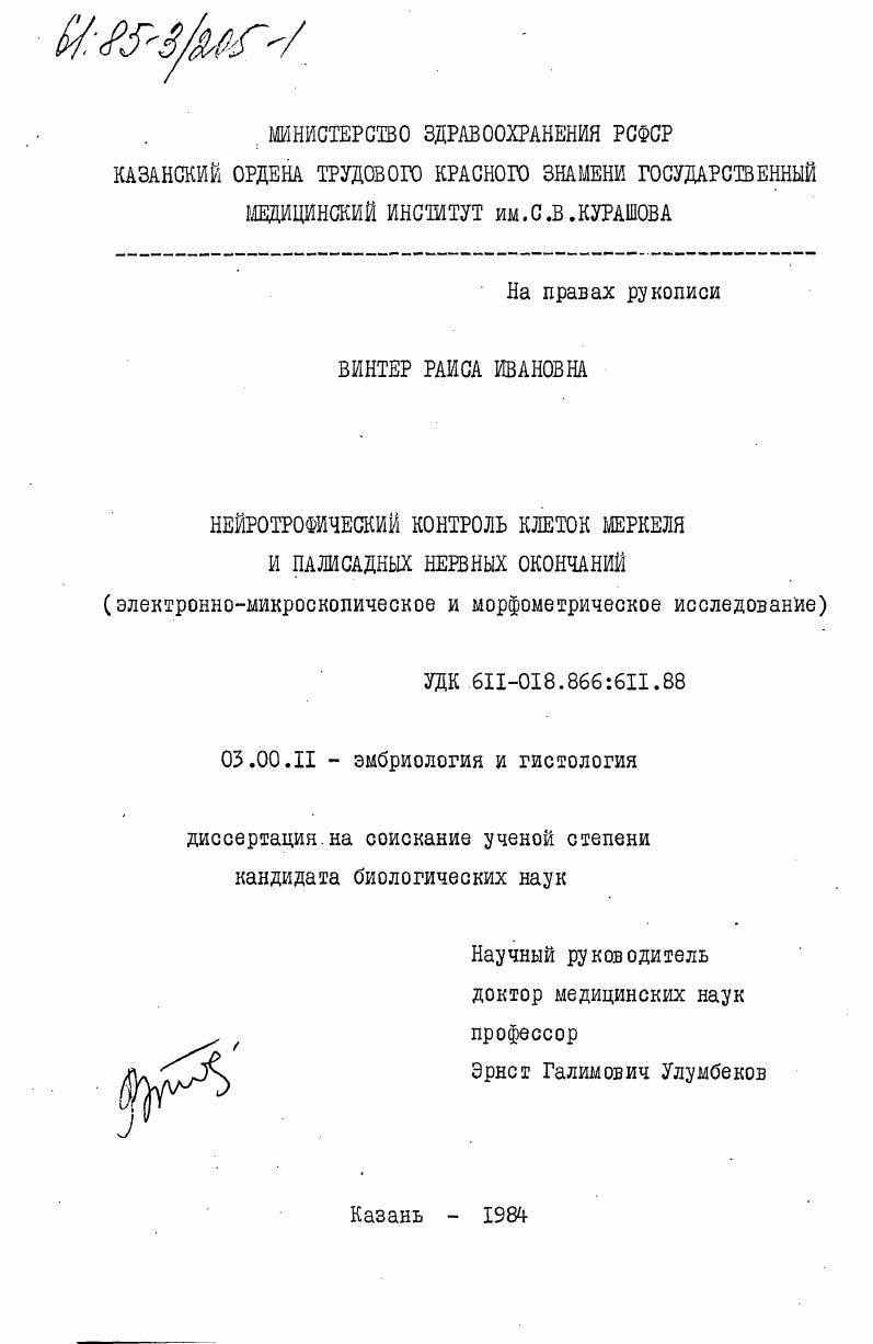Нейротрофический контроль клеток меркеля и палисадных нервных окончаний (электронно-микроскопическое и морфометрическое исследование)