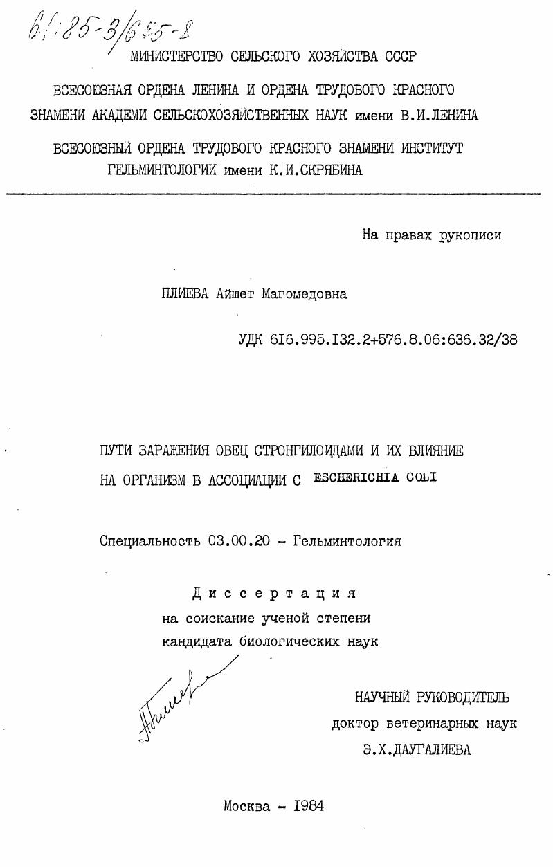 Пути заражения овец стронгилоидами и их влияние на организм в ассоциации с Escherichia coli