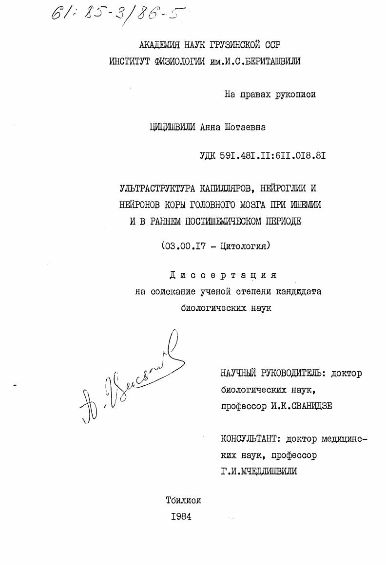 Ультраструктура капилляров, нейроглии и нейронов коры головного мозга при ишемии и в раннем постишемическом периоде