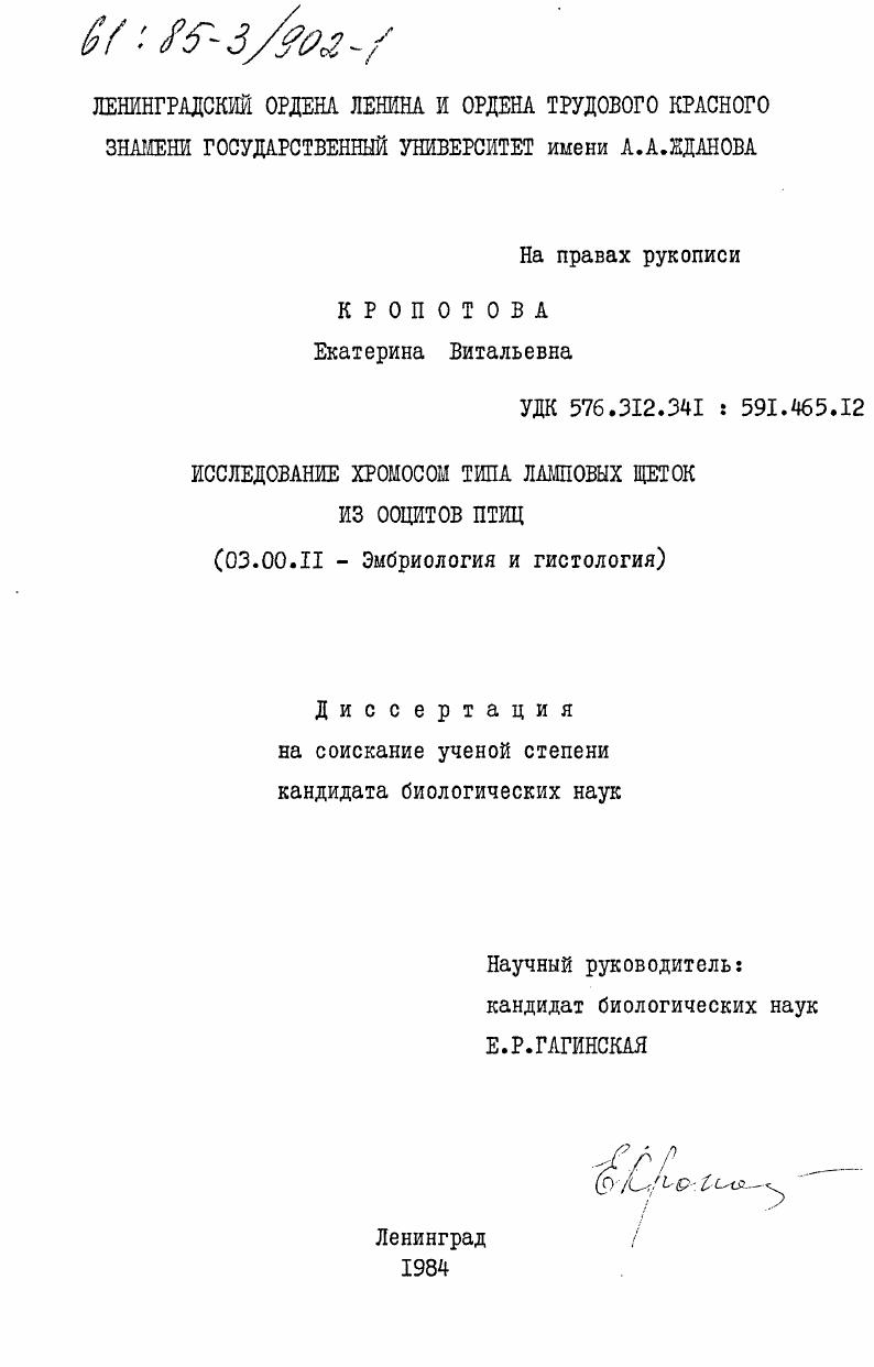 Исследование хромосом типа ламповых щеток из ооциотов птиц