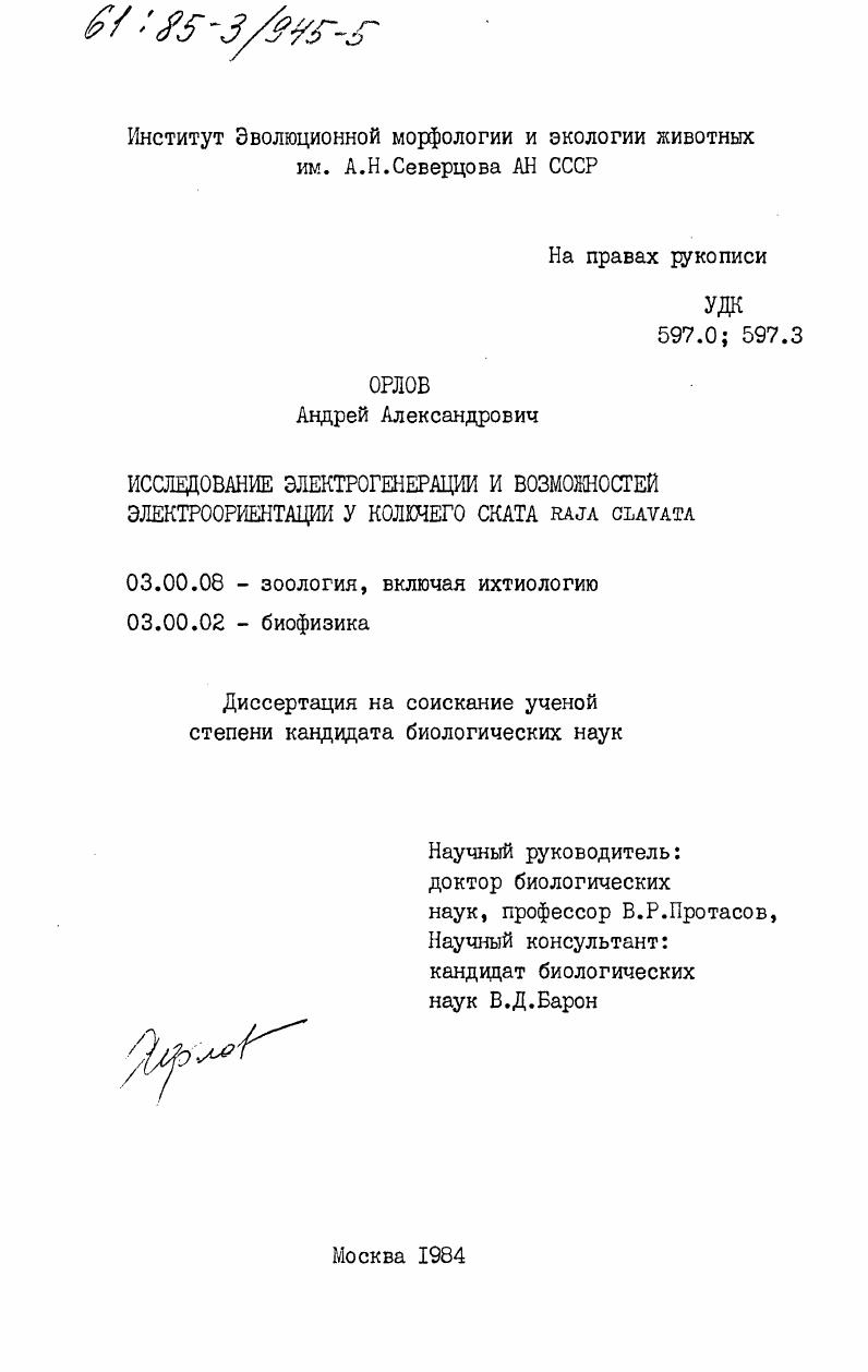 скачать диссертацию Исследование электрогенерации и возможностей электроориентации у колючего ската Raja clavata Исследование электрогенерации и возможностей электроориентации у колючего ската Raja clavata