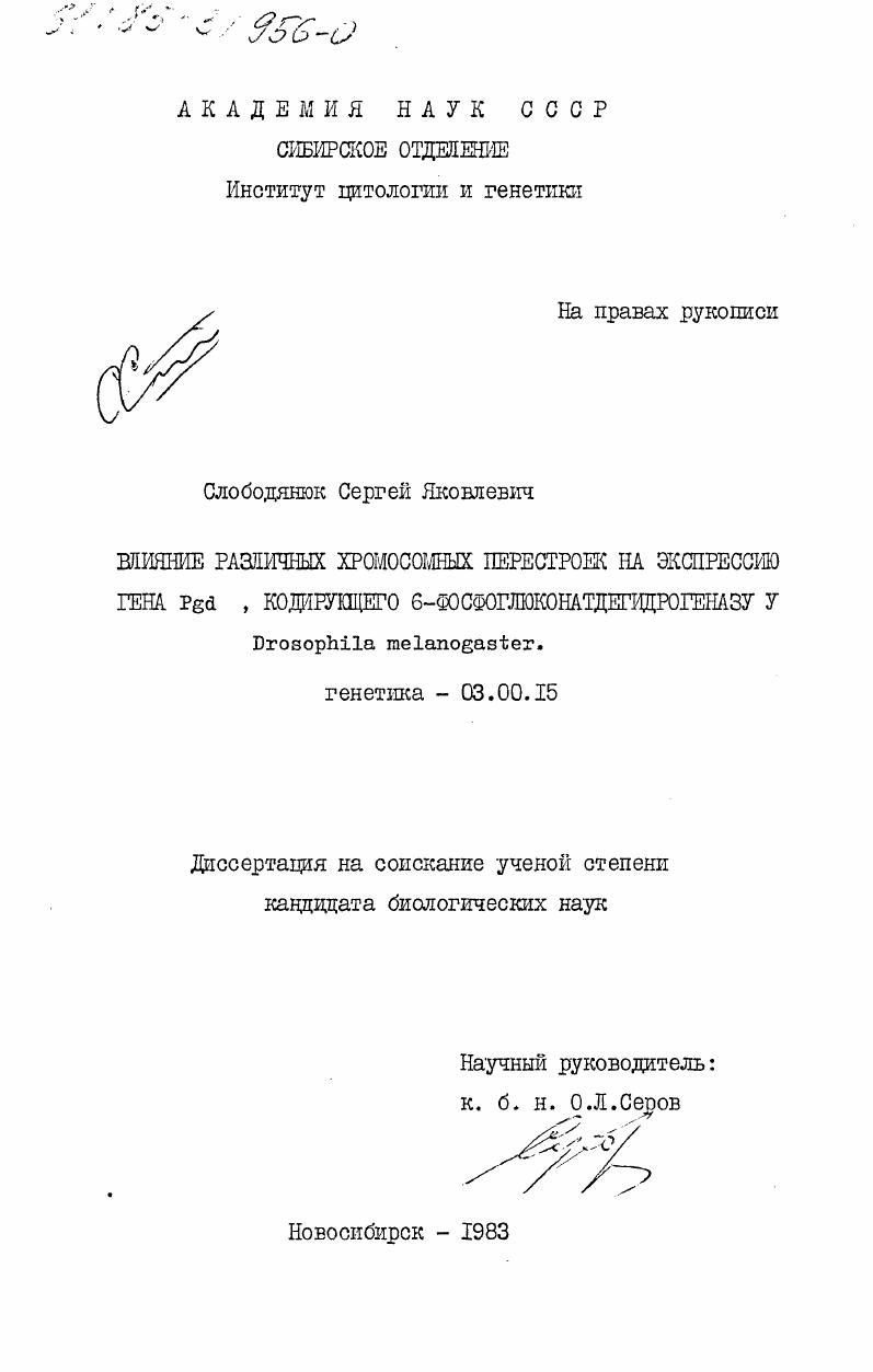Влияние различных хромосомных перестроек на экспрессию гена Pgd, кодирующего 6-фосфоглюконатдегидрогеназу у Drosophila melanogaster