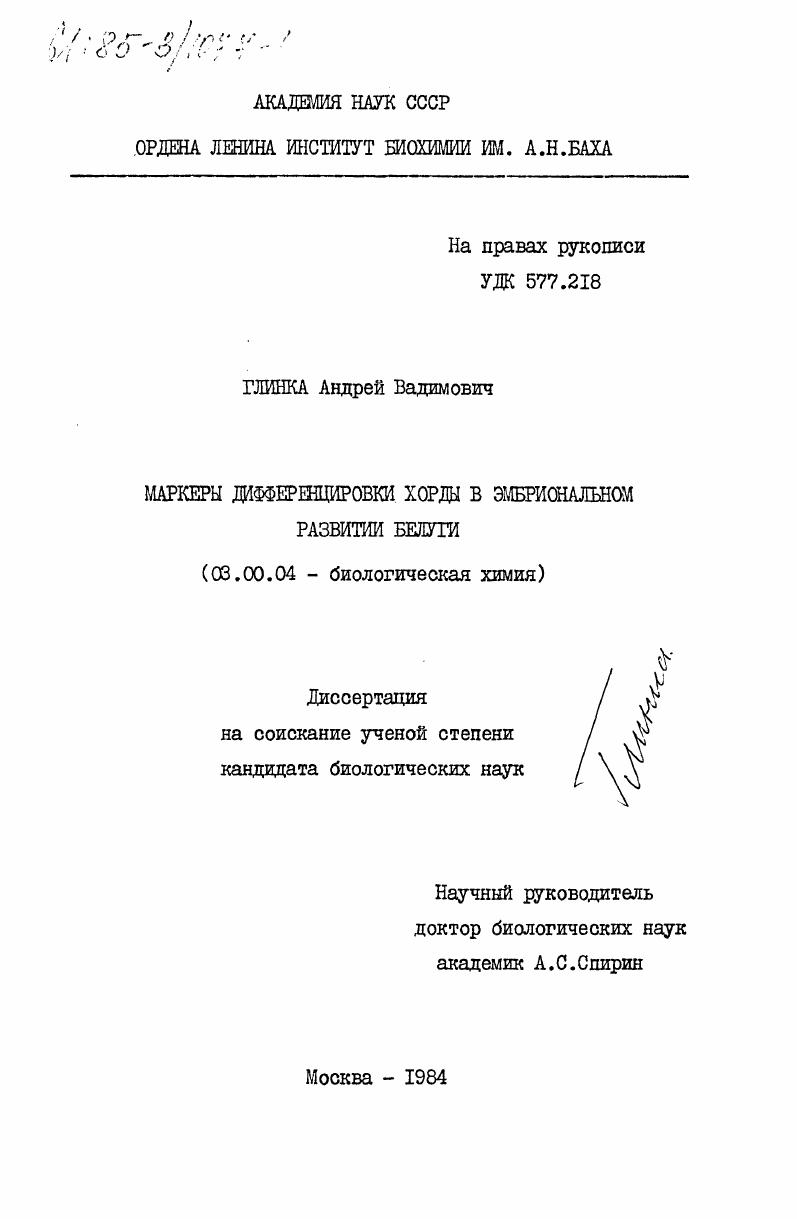 Маркеры дифференцировки хорды в эмбриональном развитии белуги