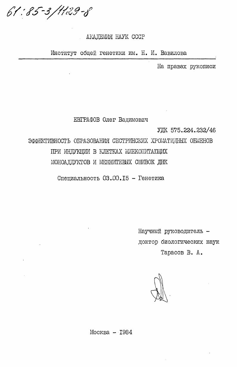 Эффективность образования сестринских хроматидных обменов при индукции в клетках млекопетающих моноаддуктов и межнитевых сшивок ДНК