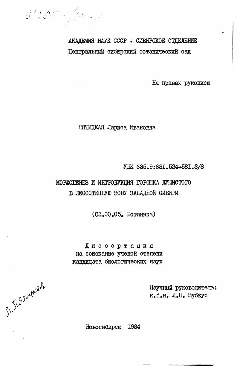 Морфогенез и интродукция горошка душистого в лесостепную зону Западной Сибири