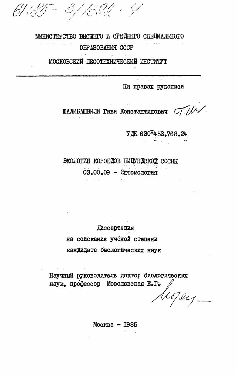 Экология короедов пицундской сосны