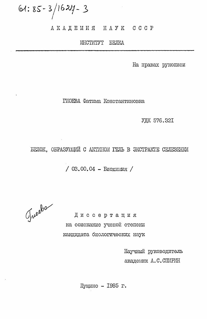 Белок, образующий с актином гель в экстракте селезенки