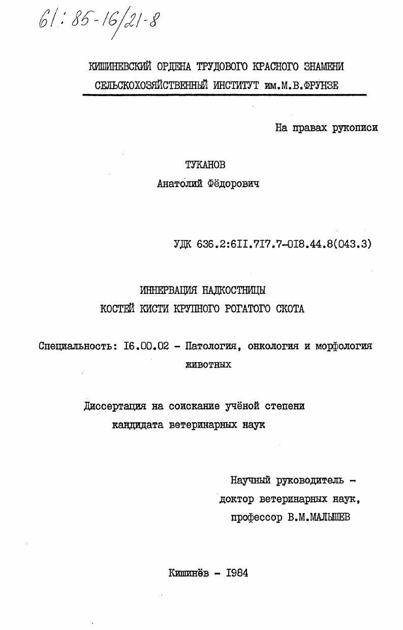 Иннервация надкостницы костей кисти крупного рогатого скота
